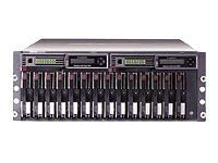 HP StorageWorks Modular Array MSA1000 (201723-B22)